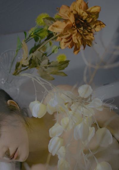 芒果剧场免费观看电视剧_1080免费在线播放